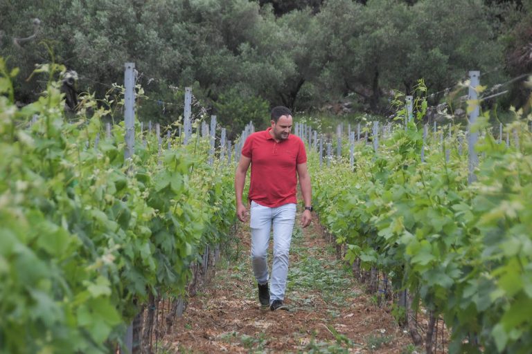 Hropić Winery: Reviving Lastovo’s Grk