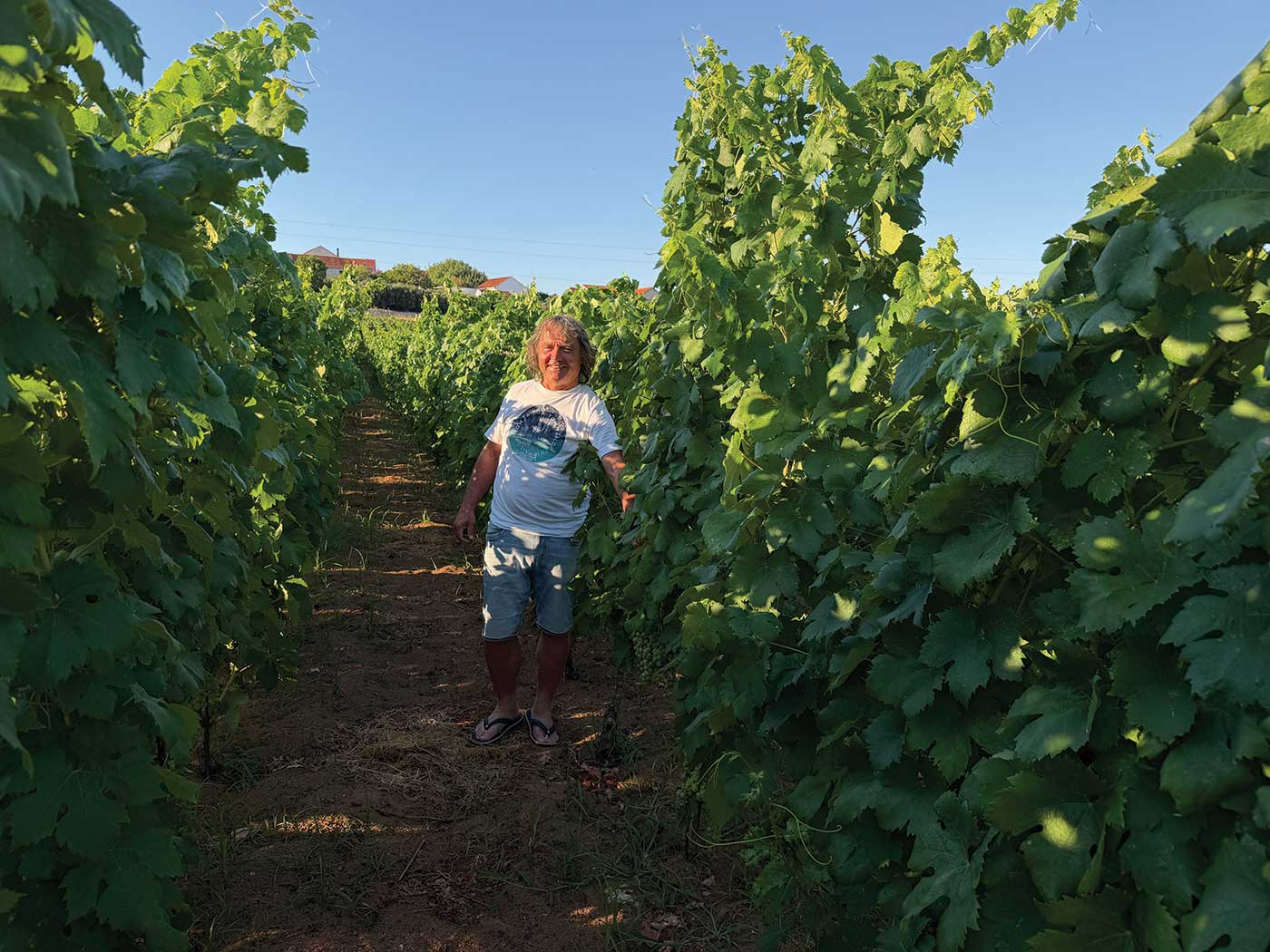 Franko Milina Bire u novom vinogradu