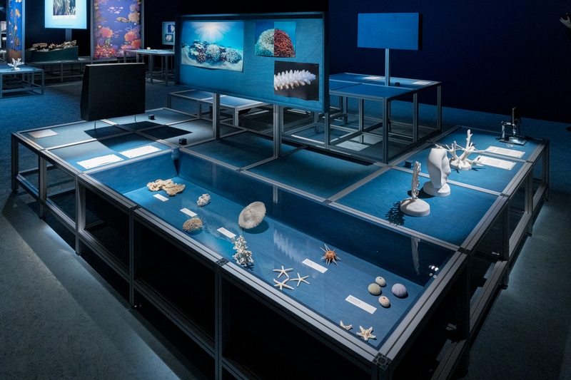 Ocean&Climate Village